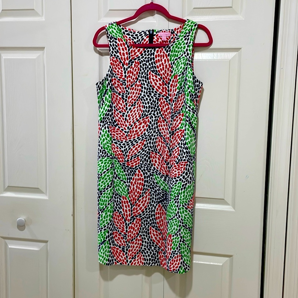 Gently worn Lilly dress
